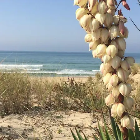 شقة T2 51m2 Et Parking Privatif En Sous Sol آركاشو