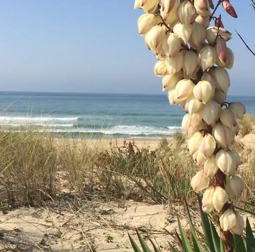 아파트 T2 51m2 Et Parking Privatif En Sous Sol 아르카숑